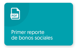 Ver PDF: Primer reporte de bonos sociales