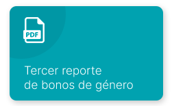 Ver PDF: Segundo reporte de bonos de género
