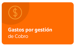Ver PDF Gastos por gestión de Cobro.