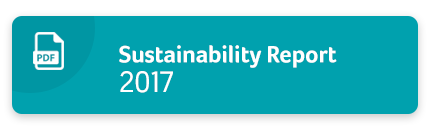 Botón abrir informe de sostenibilidad 2017