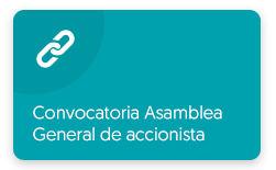 Ver Sección: Convocatoria Asamblea General de accionista