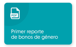 Ver PDF: Primer reporte de bonos de género